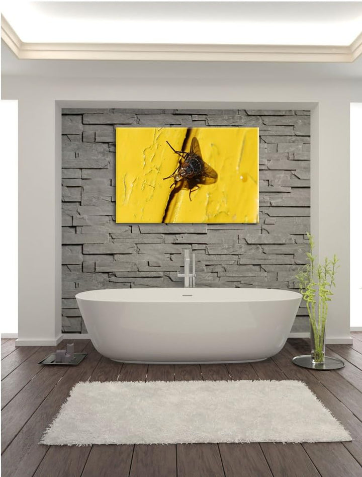Pixxprint kleine Fliege mit Tautropfen auf Leinwand, XXL riesige Bilder fertig gerahmt mit Keilrahme