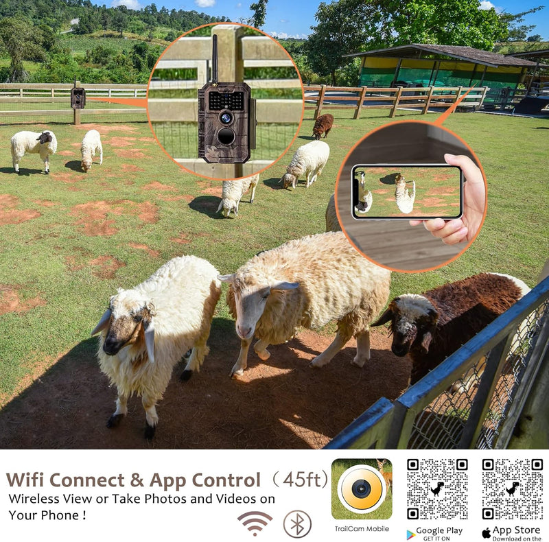 BlazeVideo Wildkamera WLAN Fotofalle WiFi Beutekamera Wildtier Jagdkamera Überwachungskamera 32MP HD