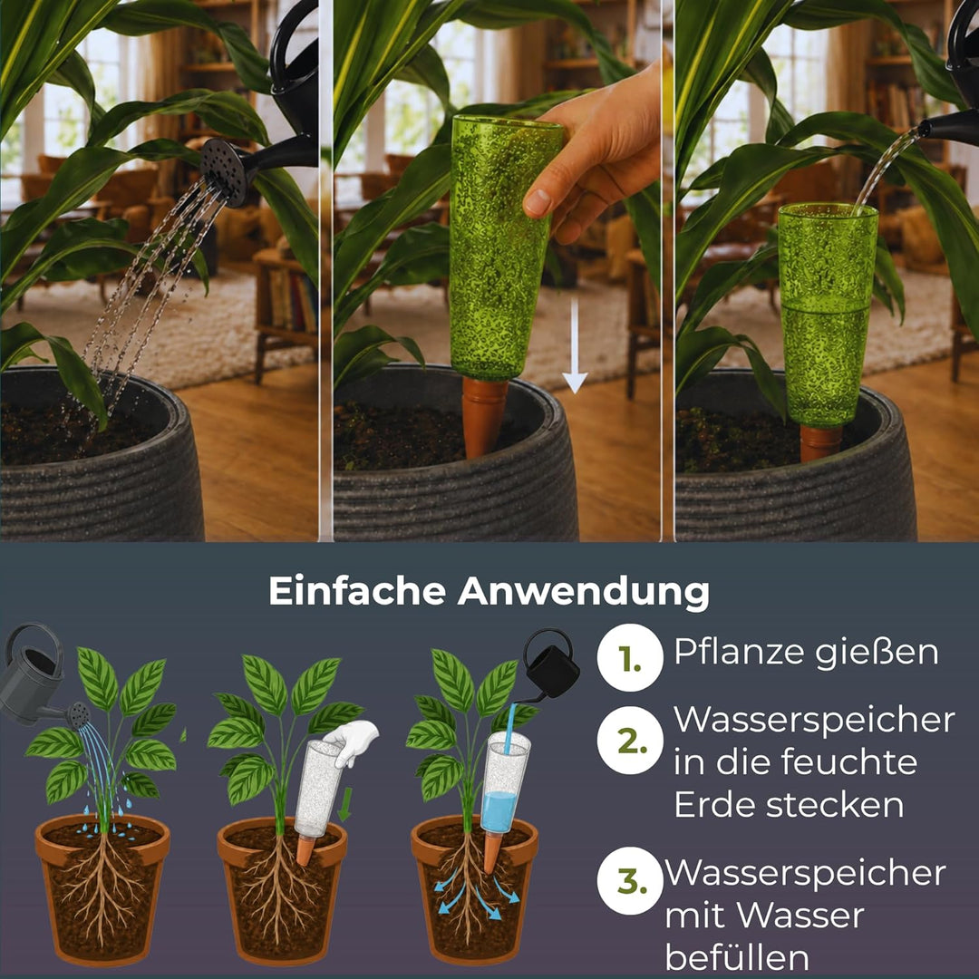 Scheurich Copa XL Bewässerung Wasserspender Bewässerungskugel grün transparent (3, Grün), 3