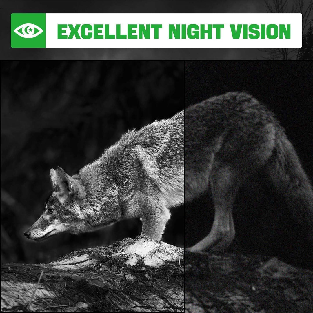 Coolifepro Wildkamera, 4K Video Wildtierkamera, 48MP Wildtierkamera mit Nachtsicht Bewegungsmelder,