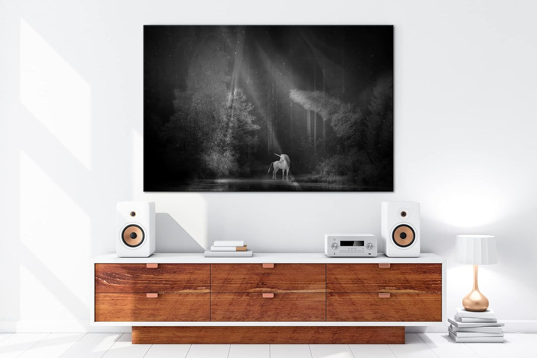 deyoli Einhorn auf einer Waldlichtung Format: 80x60 Effekt: Schwarz&Weiss als Leinwandbild, Motiv fe