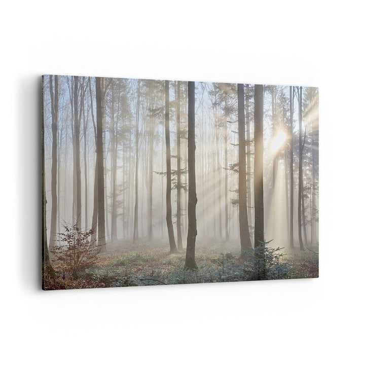 Bilder auf Leinwand 100x70cm Leinwandbild mit Rahmen Wald Baum Natur Gross Wanddeko Bild Schlafzimme