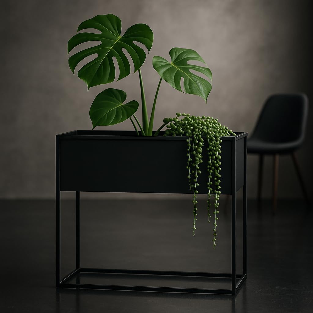 Pflanzenständer Petto - 80x30cm60cm - Farbe Schwarz - für Zimmerblumen - Metallregal - Dekorativer T