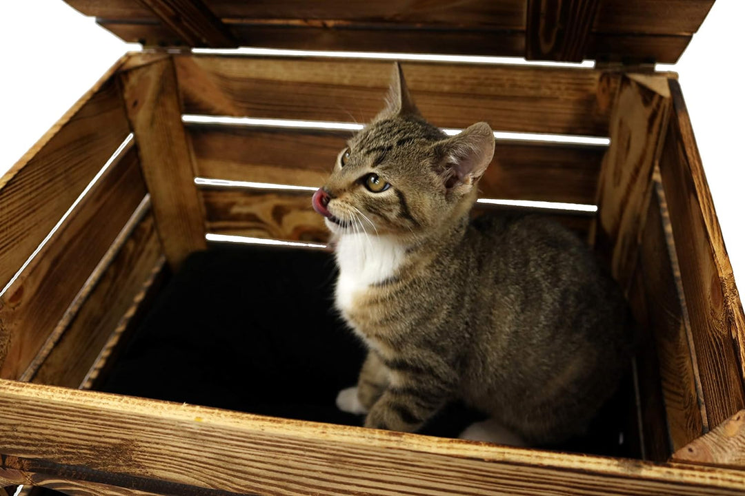 Rustikale Katzentruhe aus Holz Katzenhöhle in Obstkisten Design Katzenkorb mit Deckel für Katzen Kat