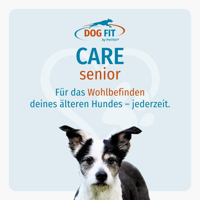 DOG FIT by PreThis® Care Senior I Aufbaupräparat für alte Hunde Plus Gelenkschutz & Vitamine & Miner