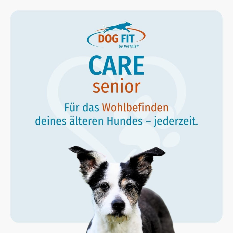 DOG FIT by PreThis® Care Senior I Aufbaupräparat für alte Hunde Plus Gelenkschutz & Vitamine & Miner