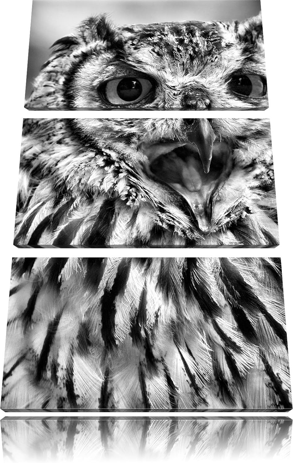 Pixxprint grosse Waldeule gähnt als Leinwandbild/Grösse: 3 Teilig (120x80) cm/Wandbild/Kunstdruck/fe