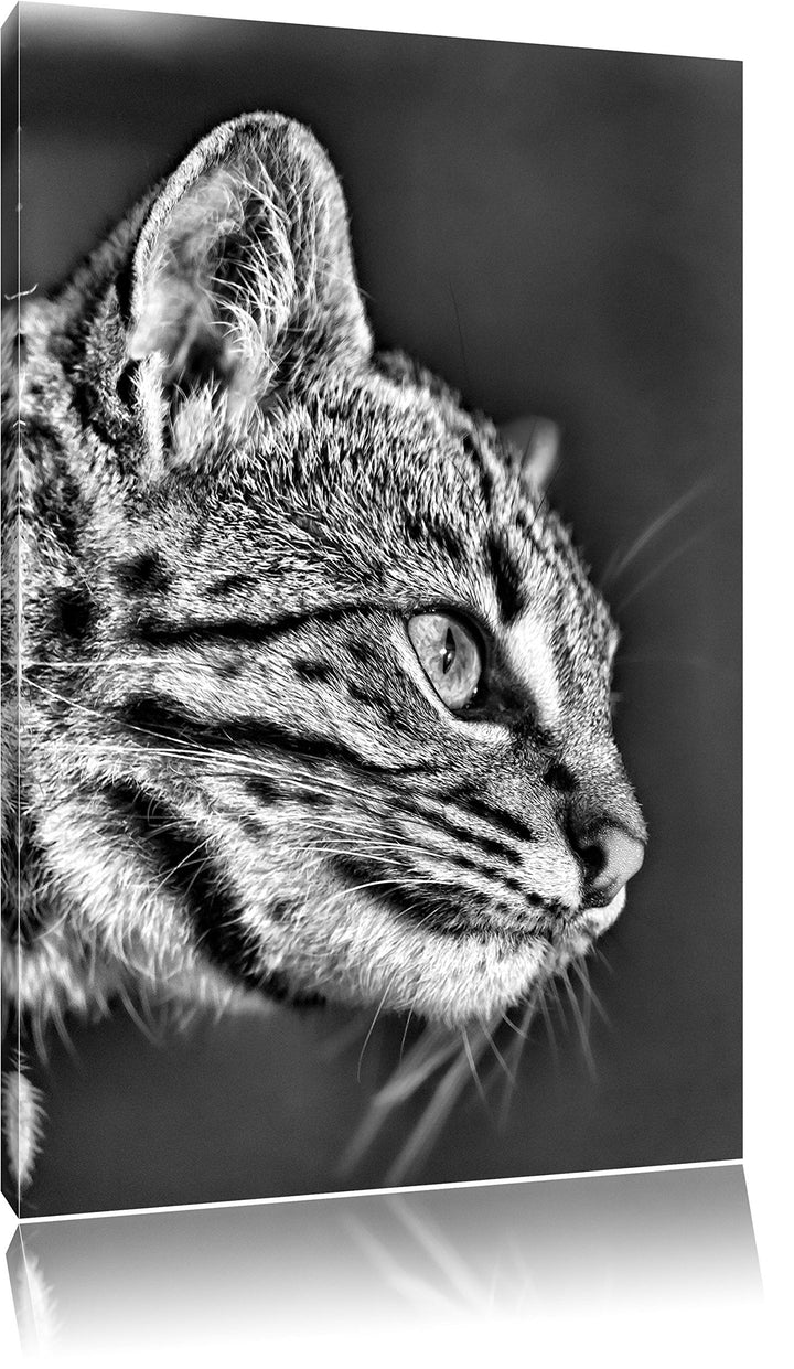 Pixxprint Bengalkatze im Profil als Leinwandbild/Grösse: 100x70 / Wandbild/Kunstdruck/fertig bespann