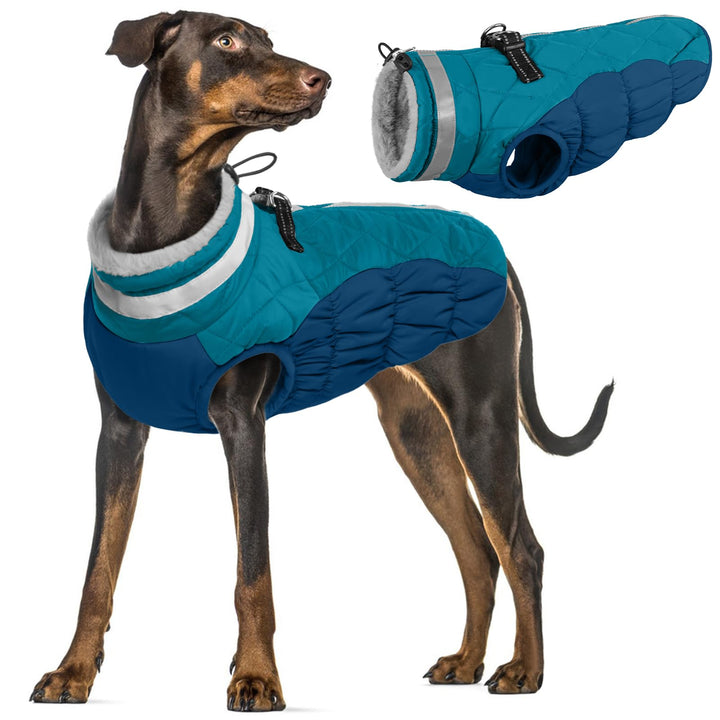 PUMYPOREITY Hunde Wintermäntel, Hundejacke mit Innenfleece wasserdichte Kleine Hunde Winterweste Hun