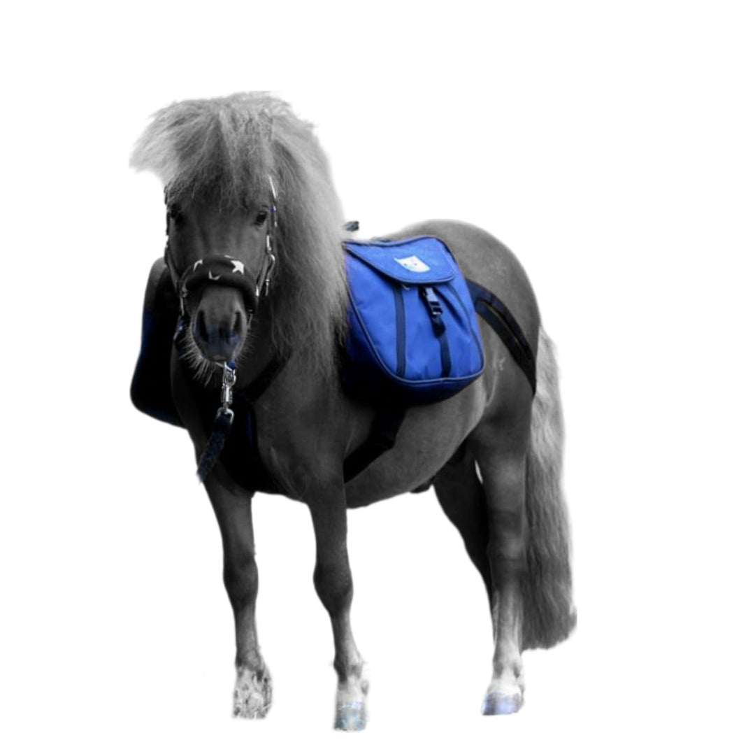 Tysons Breeches Rucksack Blau Trekking Satteltasche Wanderrucksack Packtaschen Minishetty Mini Shett