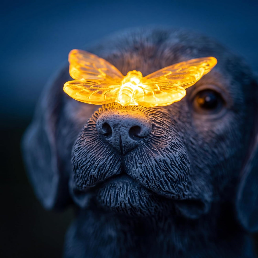 Solarleuchte Hund aus Harz mit Schmetterling, lustige Gartendeko Figur für Aussen, wasserdichte Deko