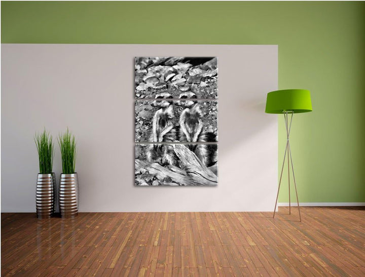 Pixxprint Monocrome, kleines Erdmännchen Rudel 3-Teiler Leinwandbild 120x80 Bild auf Leinwand