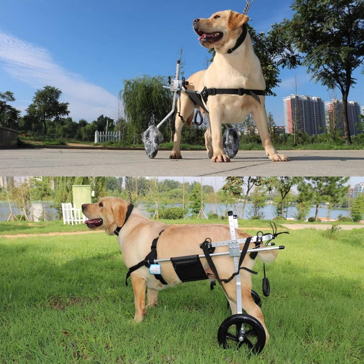 Mittlerer und grosser Hunderollstuhl, Rehabilitationshilfe, Hinterbeinstütze, Hundewagen mit Rädern,
