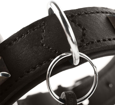 HUNTER LARVIK Hundehalsband, Leder, schlicht, elegant, komfortabel, 60 (M-L), schwarz schwarz 60 (M-