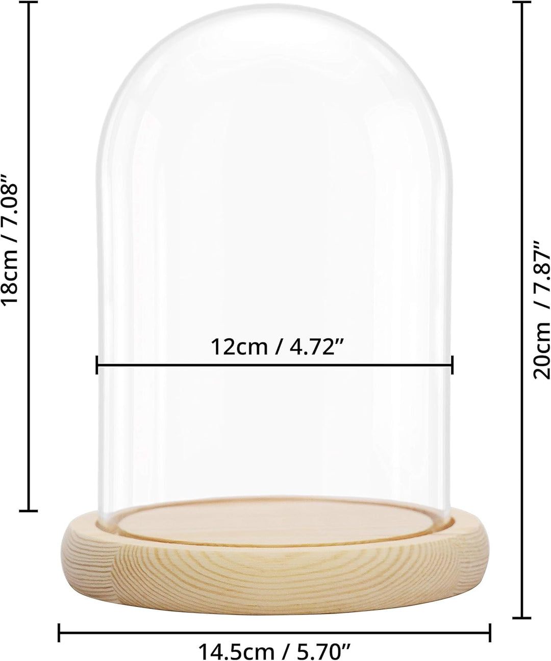 BELLE VOUS Glasglocke mit Holzboden - 20cm hohe Glaskuppel mit Holzboden - Glasglocke Gross Deko - t