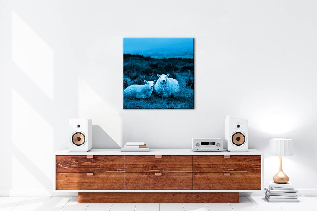 deyoli Zwei niedliches Schafe Format: 70x70 Effekt: Monocrome Blau als Leinwandbild, Motiv fertig ge