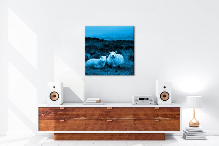 deyoli Zwei niedliches Schafe Format: 70x70 Effekt: Monocrome Blau als Leinwandbild, Motiv fertig ge