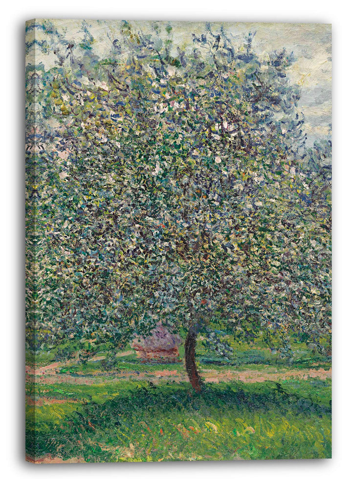 Printed Paintings Leinwand (60x80cm): Claude Monet - Apfelbaum 60x80 cm, 60x80 cm