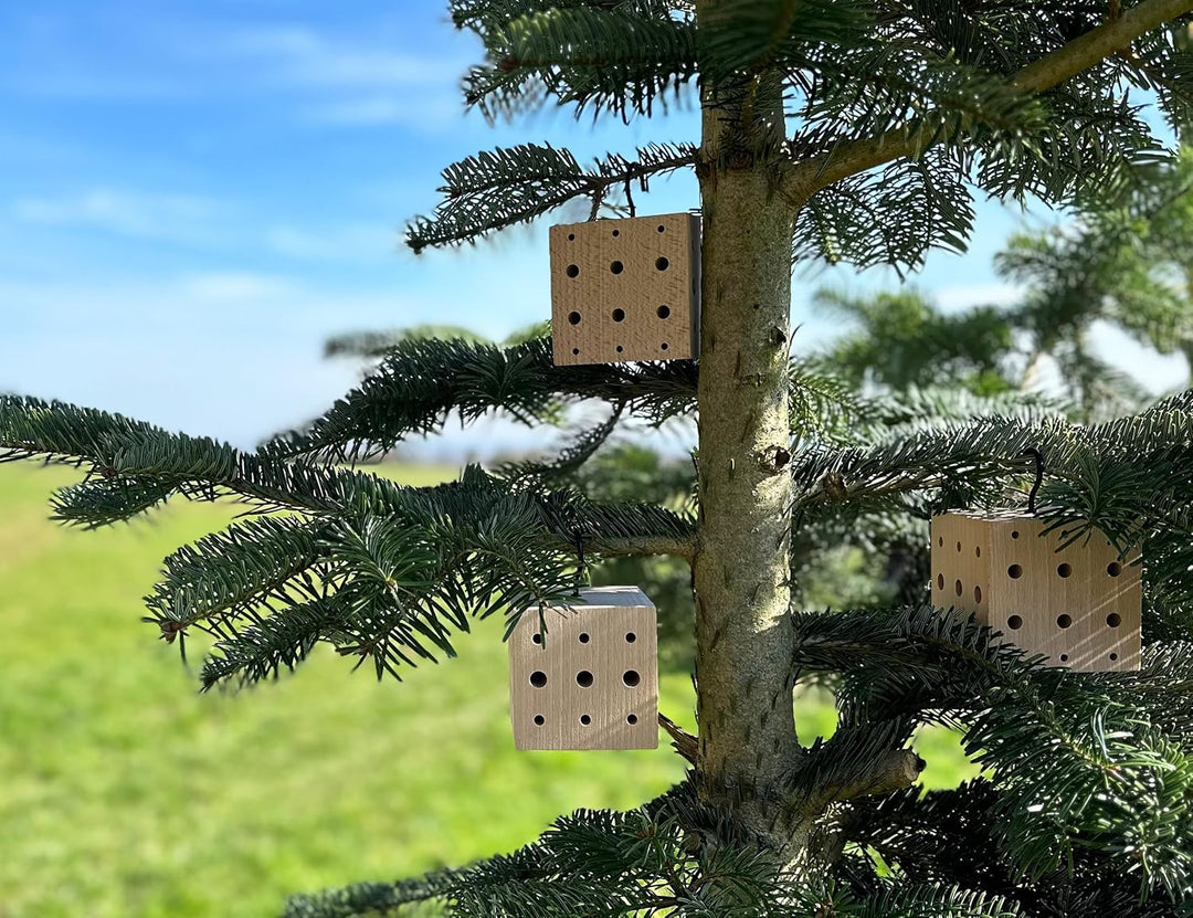 WONDERMAKE® 3er Set: Design Insektenhotel klein, Kubus aus Buche-Holz mit 3X 42 Nistplätzen, Bienenh