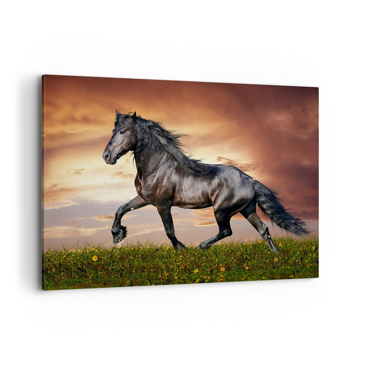 Bilder auf Leinwand 100x70cm Leinwandbild mit Rahmen Pferd Tier Wiese Gross Wanddeko Bild Schlafzimm