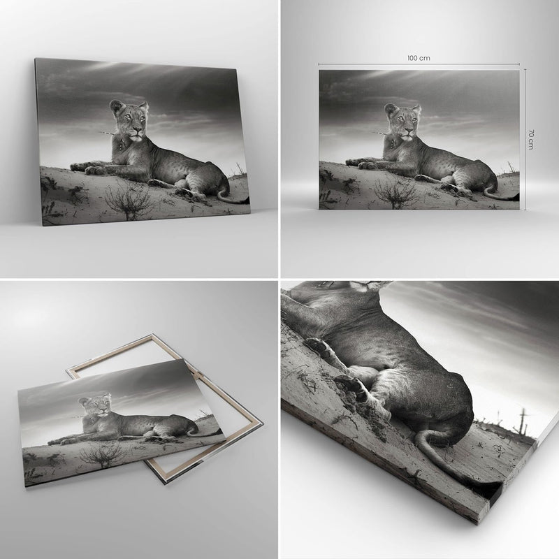 Bilder auf Leinwand 100x70cm Leinwandbild Tierwelt weiblich katze Tier Gross Wanddeko Bild Schlafzim