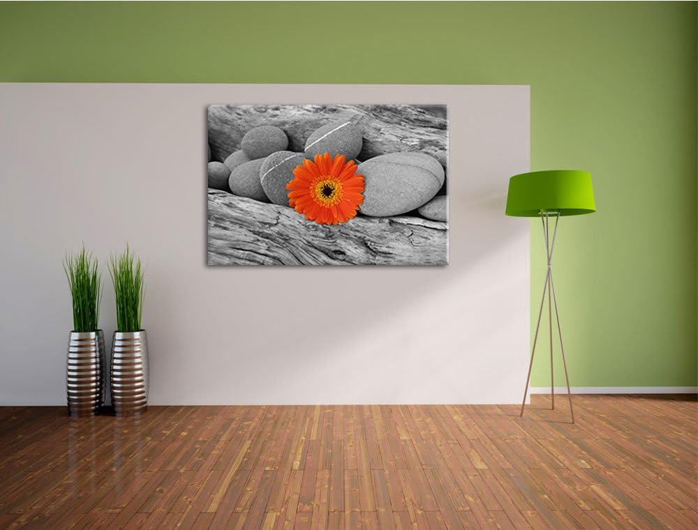 kleine Gerbera zwischen Zen Steinen schwarz/weiss Format: 100x70 auf Leinwand, XXL riesige Bilder fe