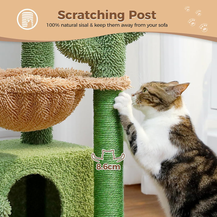 PAWZ Road Kaktus Katzenbaum für Indoor-Katzen mit Hängematte, Katzenturm mit Kratzbaum, grosser ober