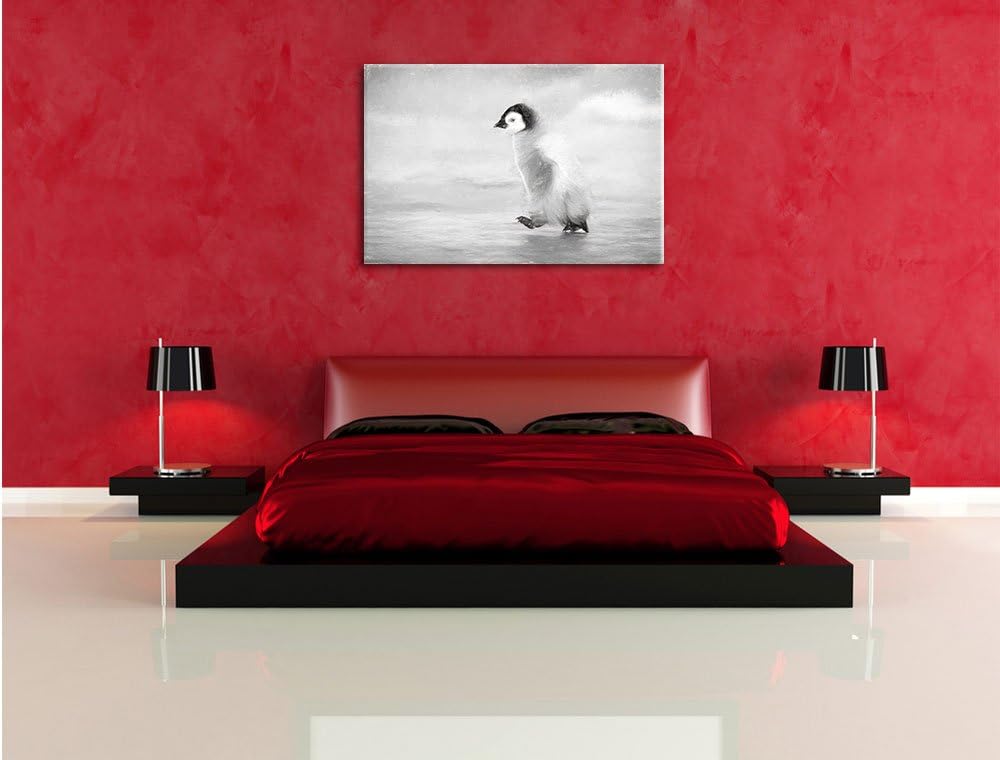 Pixxprint Kaiserpinguinkücken als Leinwandbild/Grösse: 100x70 cm/Wandbild/Kunstdruck/fertig bespannt