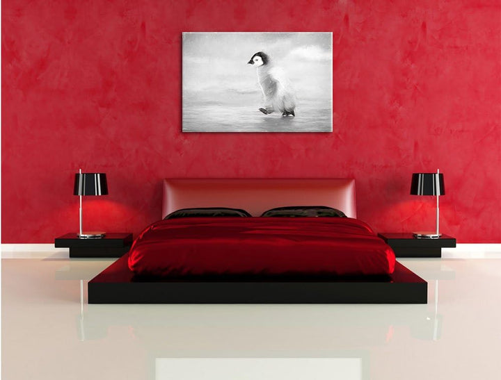 Pixxprint Kaiserpinguinkücken als Leinwandbild/Grösse: 100x70 cm/Wandbild/Kunstdruck/fertig bespannt