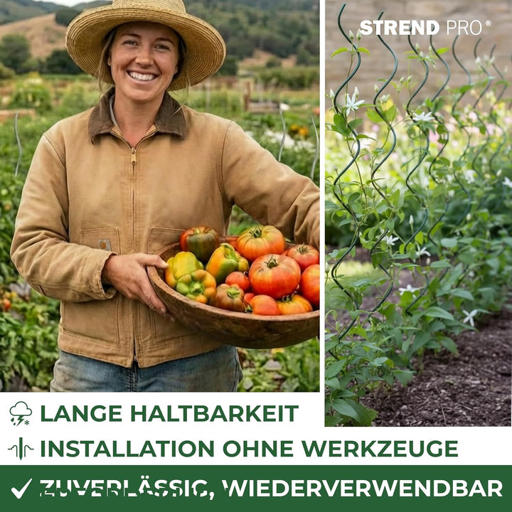 STREND PRO Tomatenstäbe 150 cm - 25 STK. | Spiralstab Ø 6 mm Verzinkter Stahl | Pflanzstab, Tomatens