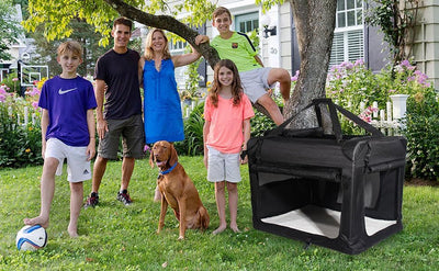 Zedelmaier Faltbare Hundebox Transportbox Hundekäfig Kleintiertasche (L - 51 x 70 x 50cm, Schwarz) L