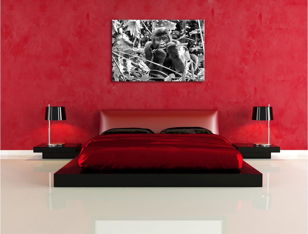Pixxprint Gorilla beim Fressen als Leinwandbild/Grösse: 100x70 / Wandbild/Kunstdruck/fertig bespannt