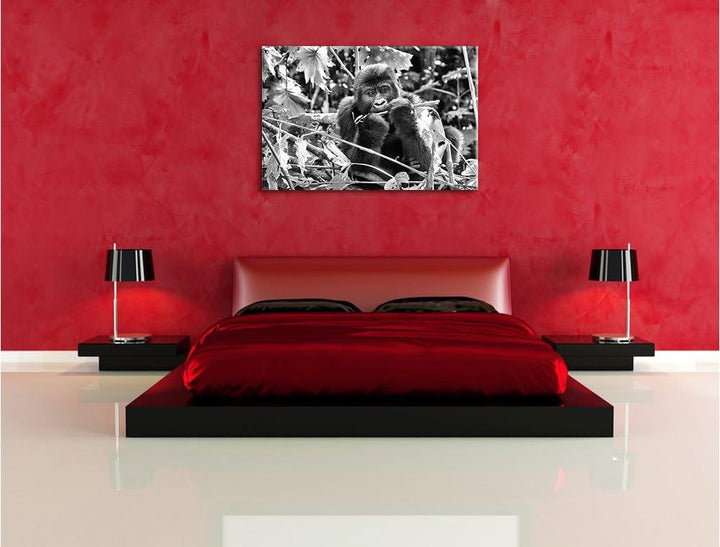 Pixxprint Gorilla beim Fressen als Leinwandbild/Grösse: 100x70 / Wandbild/Kunstdruck/fertig bespannt