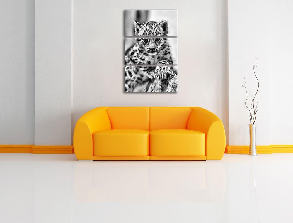 Pixxprint Monocrome, Leopardenjunges beim Klettern 3-Teiler Leinwandbild 120x80 Bild auf Leinwand