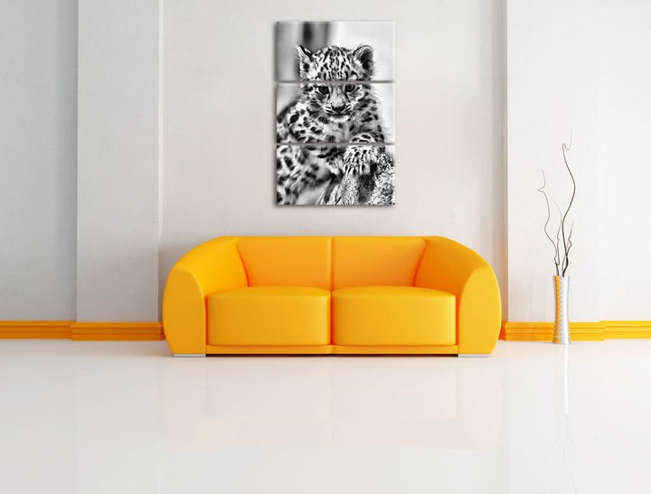 Pixxprint Monocrome, Leopardenjunges beim Klettern 3-Teiler Leinwandbild 120x80 Bild auf Leinwand