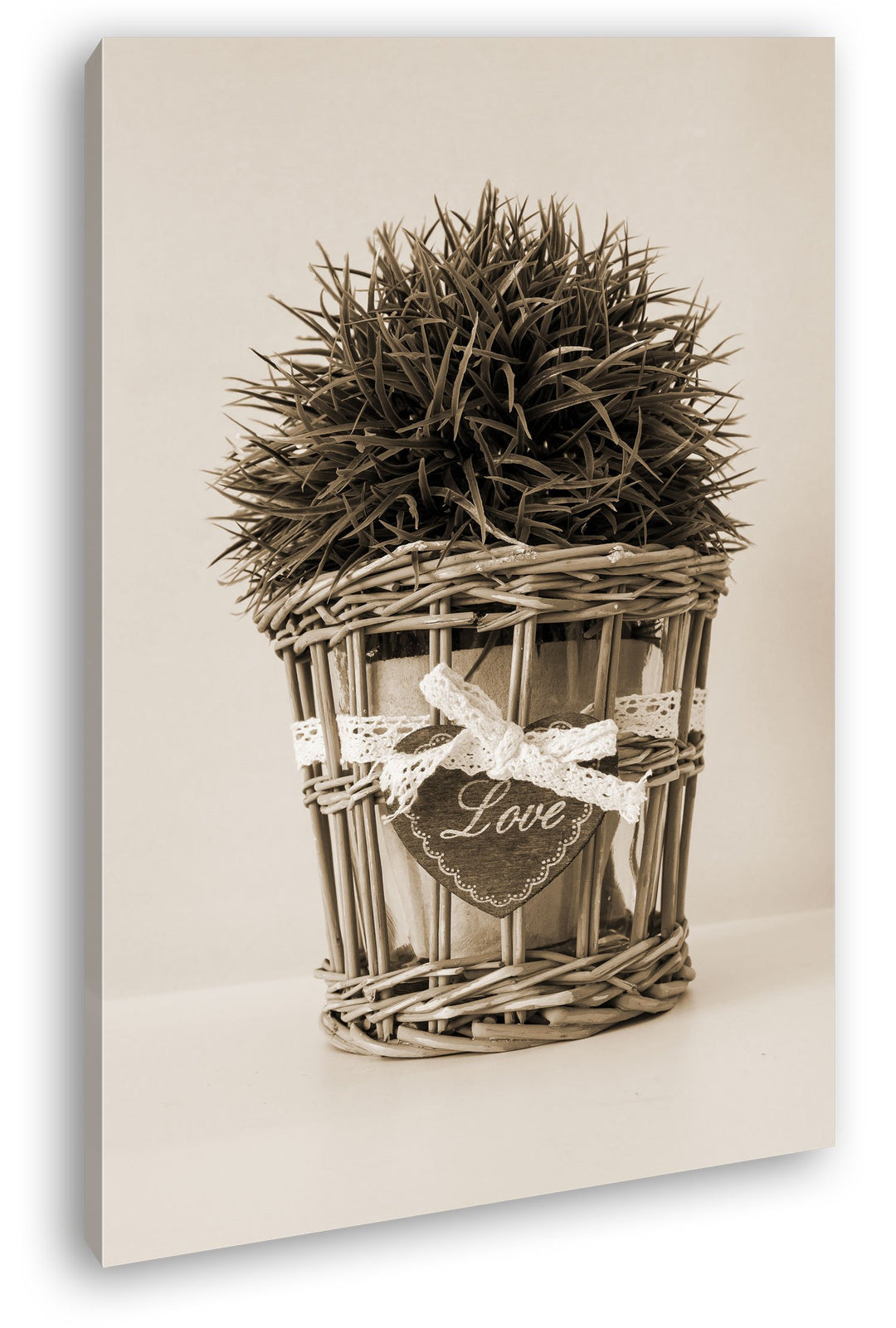 deyoli Schilf im Blumentopf Format: 80x60 Effekt: Sepia als Leinwandbild, Motiv fertig gerahmt auf E