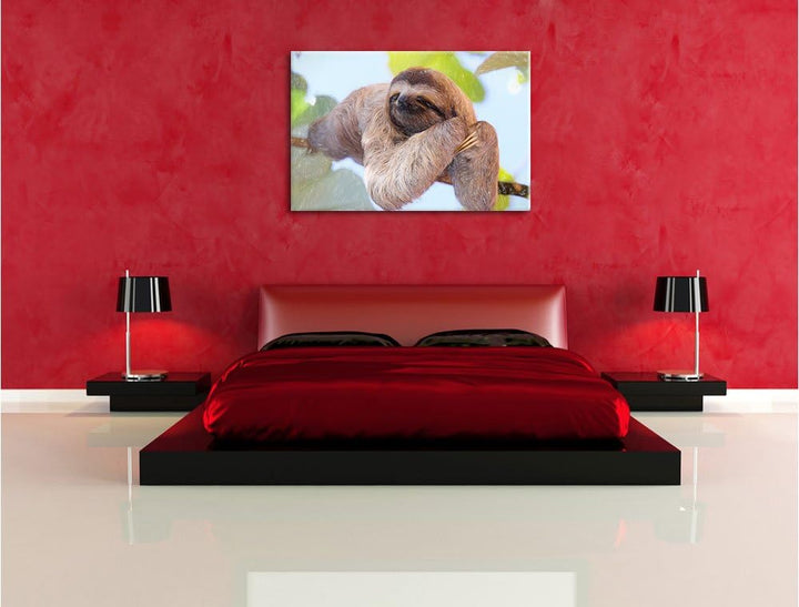 Pixxprint schönes Faultier hängt von AST / 100x70cm Leinwandbild bespannt auf Holzrahmen/Wandbild Ku