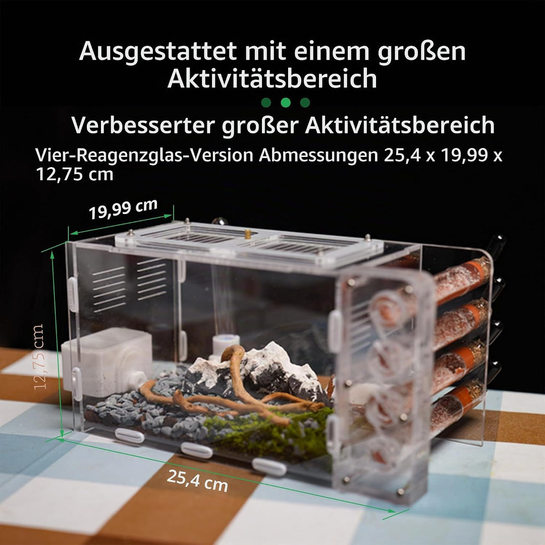Ameisennest für lebende Ameisen – für kleine Ameisen – natürliches Lernspielzeug – Great Outworld