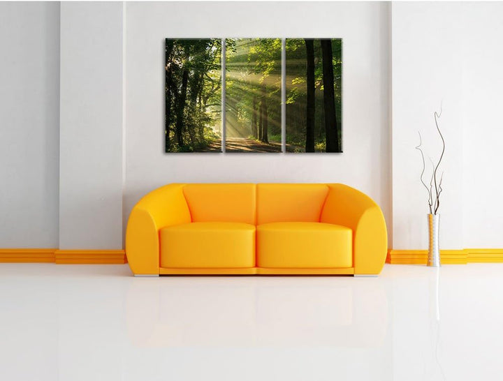 Pixxprint Waldweg im Frühling als Leinwandbild/Grösse: 3 Teilig (120x80) cm/Wandbild/Kunstdruck/fert
