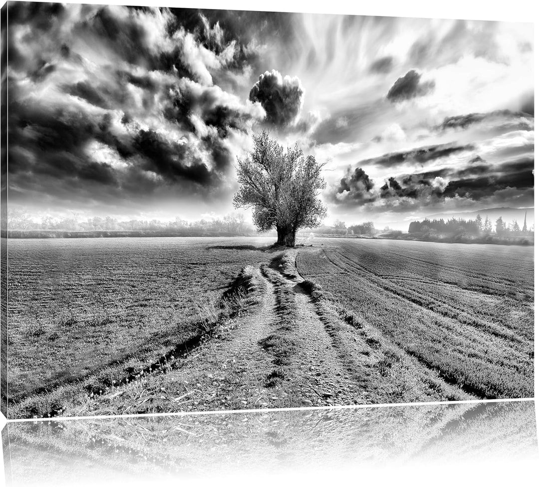 Pixxprint Monocrome, Pinkes Feld mit pinkem Baum, Format: 100x70 auf Leinwand, 100x70