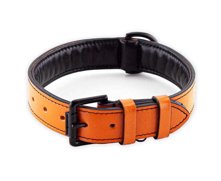 Brute Strength Hundehalsband aus Leder - Orange - XL - 56-63 cm XL - 56-63 cm Orange, XL - 56-63 cm