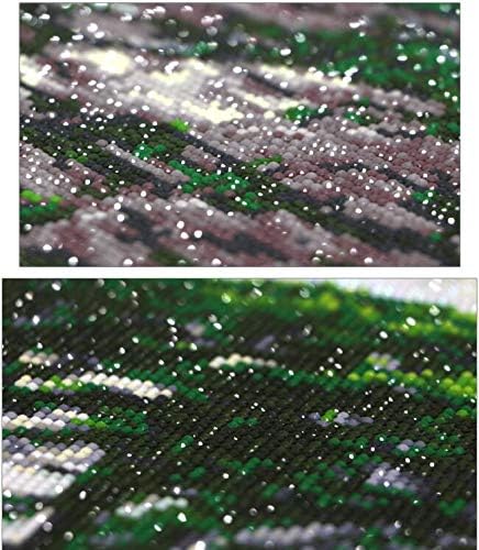 RAILONCH 5d Diamant Painting Kit Full Malerei DIY Handgemachtes Klebebild mit Digitale Sets Kreuzsti