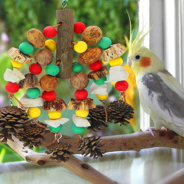 MQUPIN Papageienspielzeug, nussiges, nährstoffreiches Vogelspielzeug, natürliches hölzernes Beissspi