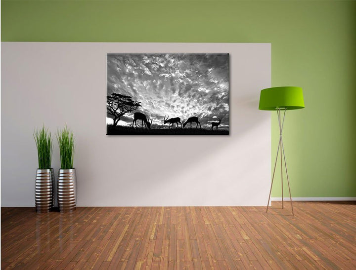 Pixxprint Tiere in der Natur als Leinwandbild/Grösse: 100x70 / Wandbild/Kunstdruck/fertig bespannt,