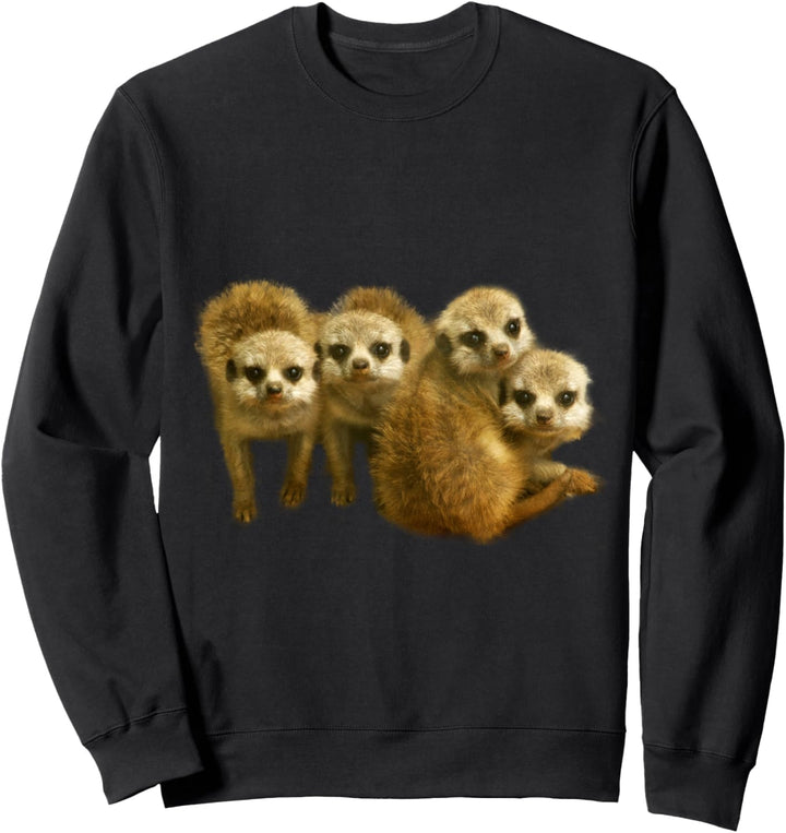 Lustiges Erdmännchen Junges Meerkat Geschenk Sweatshirt