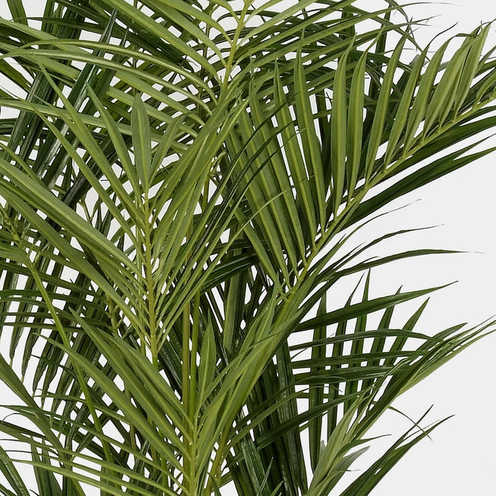 artplants.de Künstliche Kentia Palme, 486 Blätter, Deluxe, 225cm - hochwertige Dekopalme - Kunstpalm