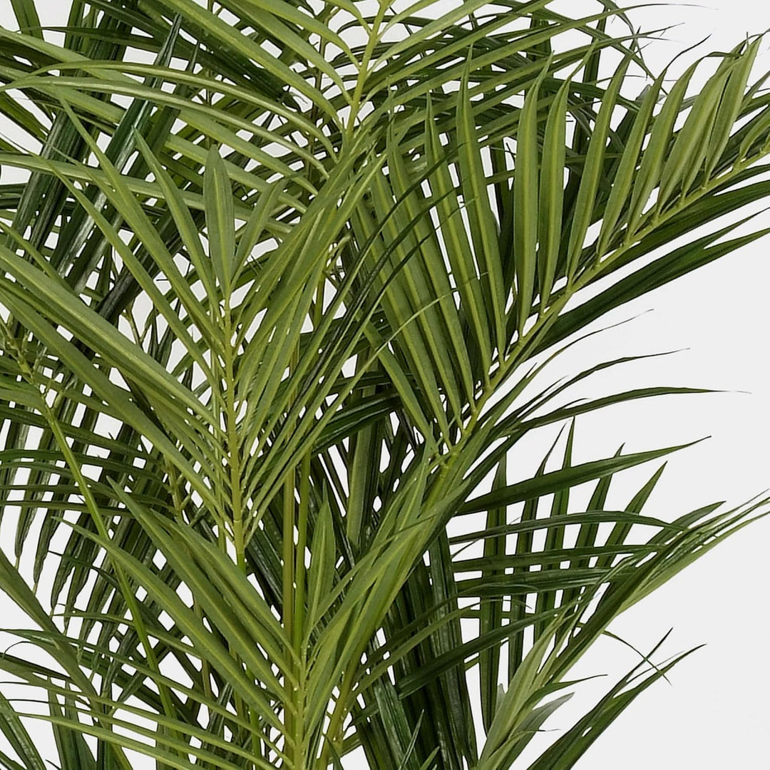 artplants.de Künstliche Kentia Palme Natural, 192 Blätter, 200cm - hochwertige Dekopalme - Kunstpalm