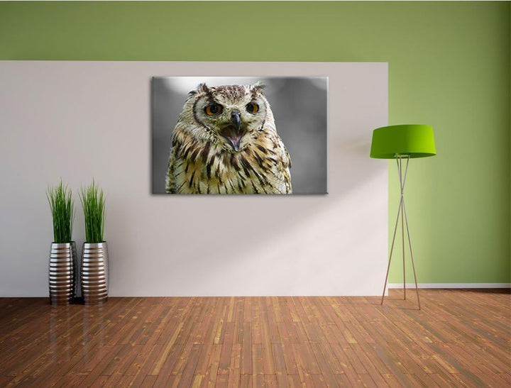 grosse schöne Waldeule gähnt schwarz/weiss Format: 100x70auf Leinwand, XXL riesige Bilder fertig ger