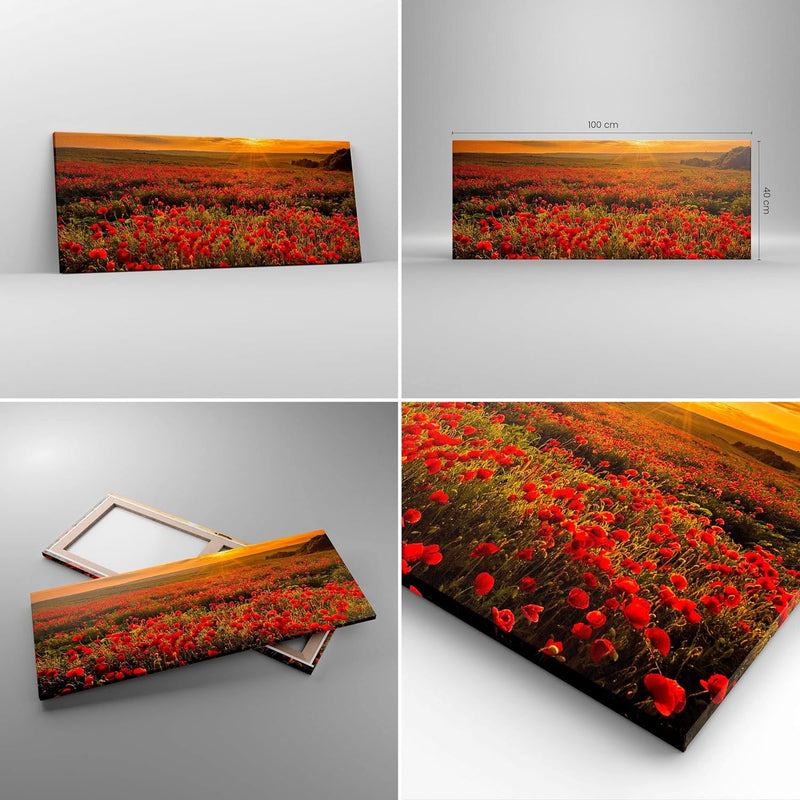 Panorama Bilder auf Leinwand 100x40cm Leinwandbild Mohn Blume Wiese Gross Wanddeko Bild Schlafzimmer