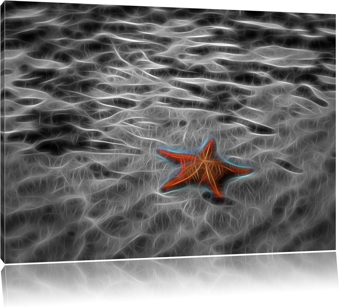schöner Seestern im klaren Wasser schwarz/weiss Deluxe Format: 100x70 cm auf Leinwand, XXL riesige B